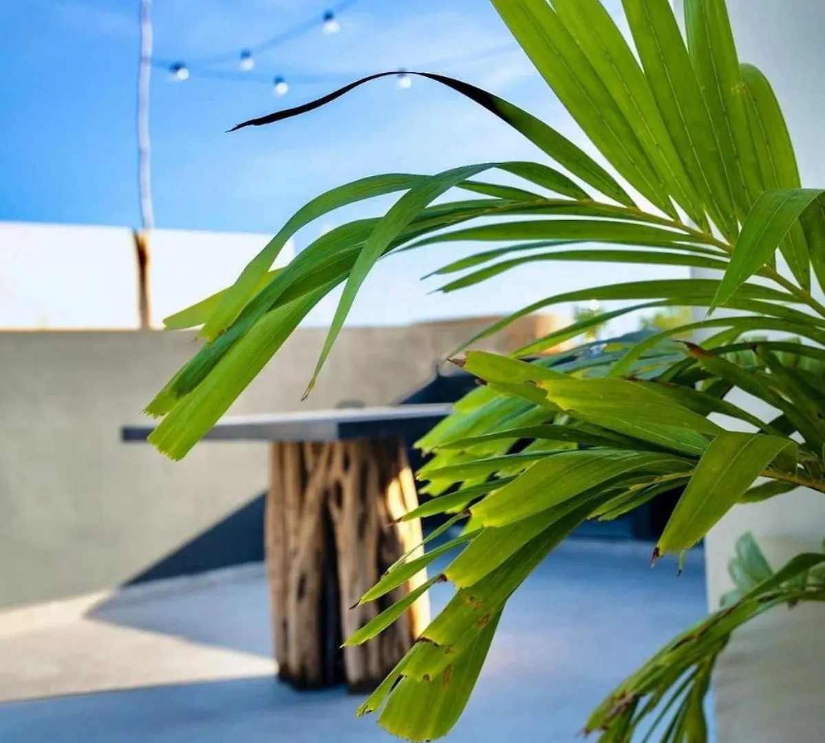 Great Located Studio Ph With Private Pool By Waves Management Tulum
